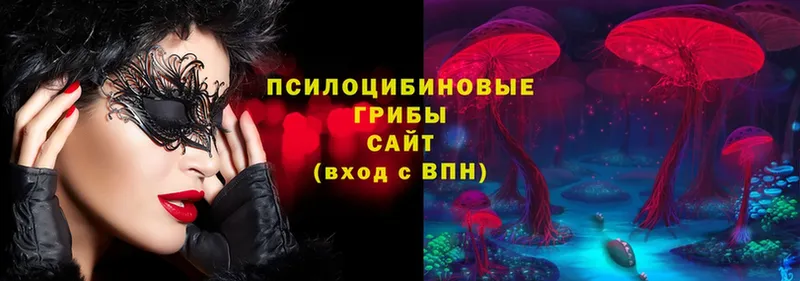 Псилоцибиновые грибы ЛСД  Кстово 